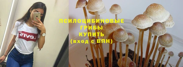 соль ск Надым
