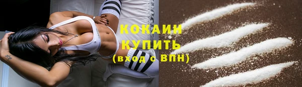 соль ск Надым