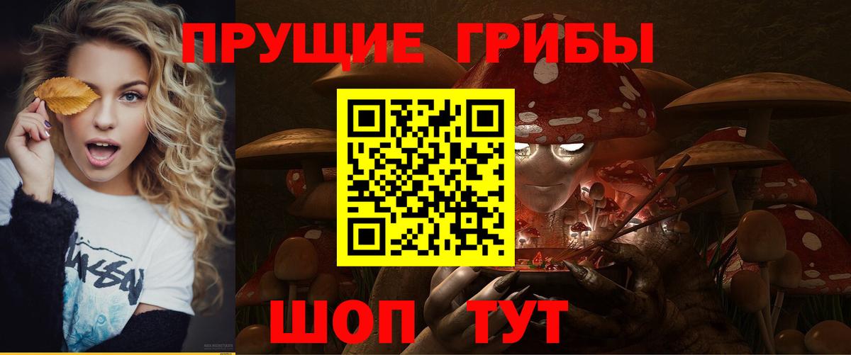 Псилоцибиновые грибы Psilocybe Алапаевск